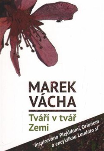 Tváří v tvář Zemi-Inspirováno Plejádami, Orionem a encyklikou Laudato si´