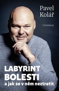 Labyrint bolesti: a jak se v něm neztratit