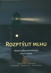 Rozptýlit mlhu: Věcné úvahy nad exhortací Amoris laetitia