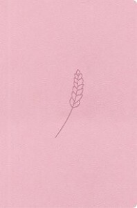 Bible21 – kapesní - rose