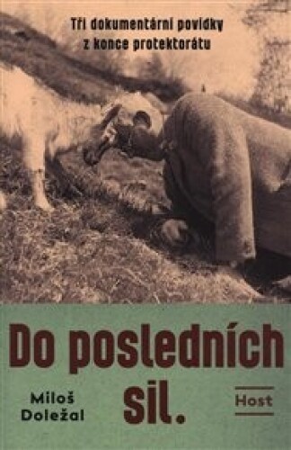 Do posledních sil.: Tři dokumentární povídky z konce protektorátu