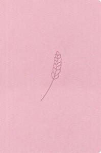 Bible21 – kapesní - rose