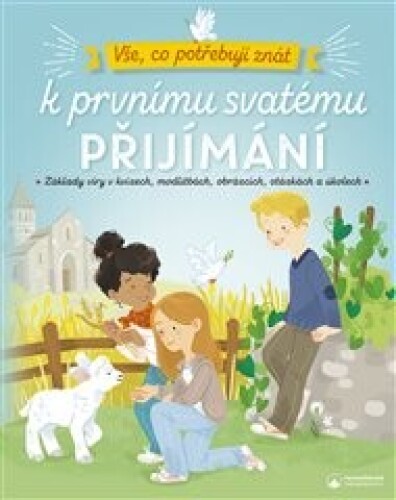 Vše, co potřebuji znát k prvnímu svatému přijímání: Základy víry v kvízech, modlitbách, obrázcích, otázkách a úkolech